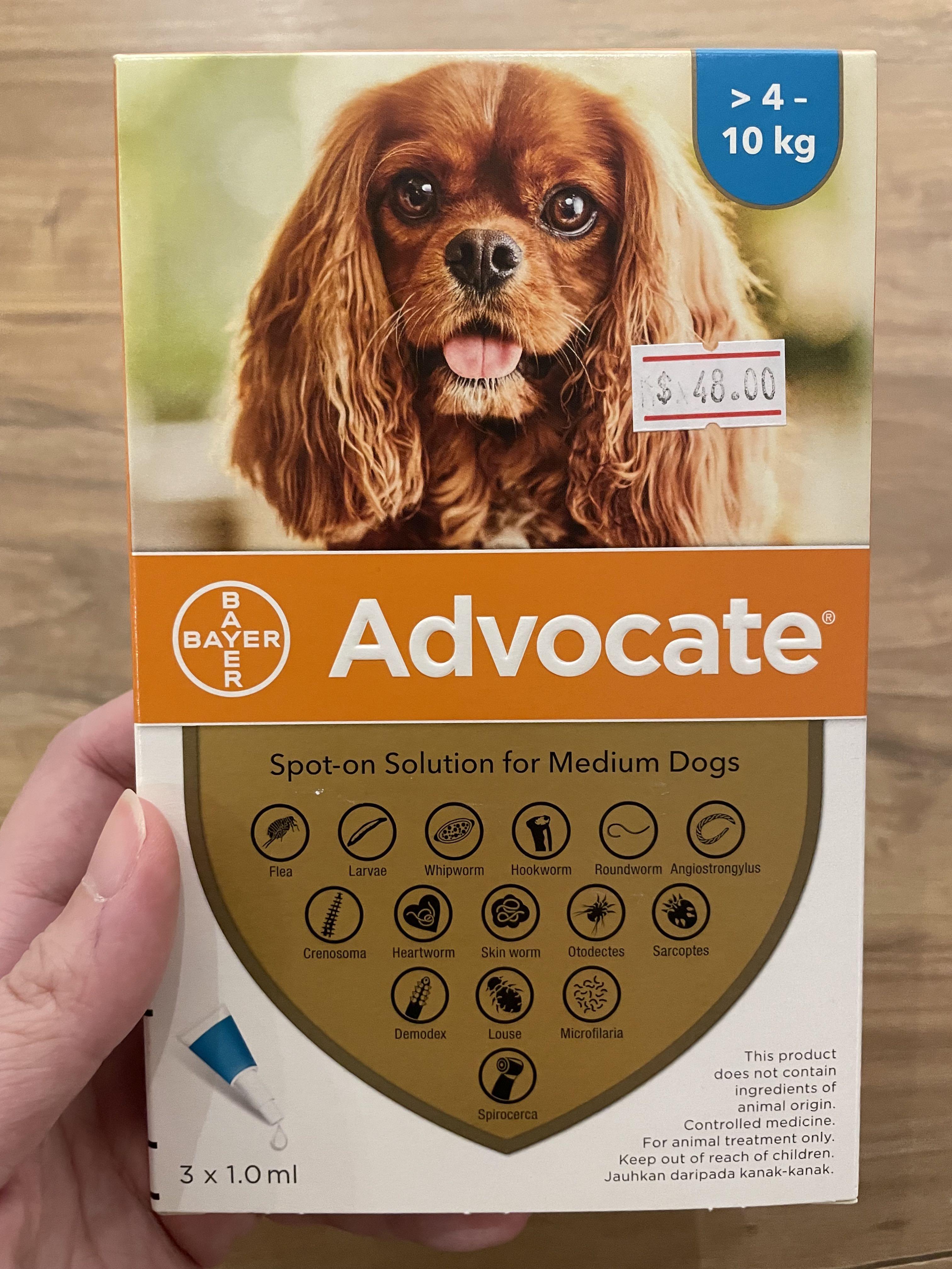 advocate for dogs up to 4kg