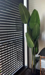 (Category: ) located in . Submitted by ntjie (Listing ID 1163715992, Image 1). Description: .