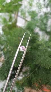 (Category: ) located in . Submitted by burmesegems (Listing ID 1163783672, Image 1). Description: .