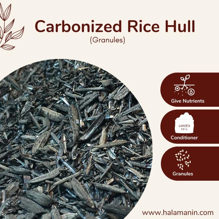 Carbonized Rice Hull (5 Liters) - Halamanin, Furniture & Home Living ...