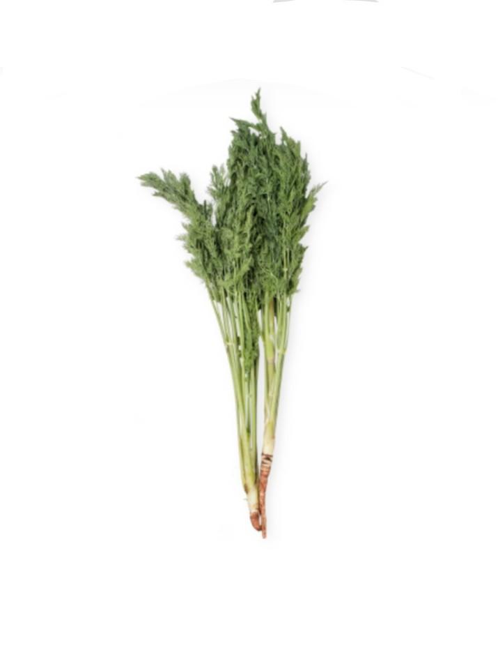 Dill Leaves (Category: Fresh Produce) located in Manila. Submitted by virtualtindahanipaul (Listing ID 1163734626, Image 1). Description: indicated price per: 90-100g minimum order: 2kg delivery to: Delivery every Tuesday, Thursday, Saturday & Sunday..