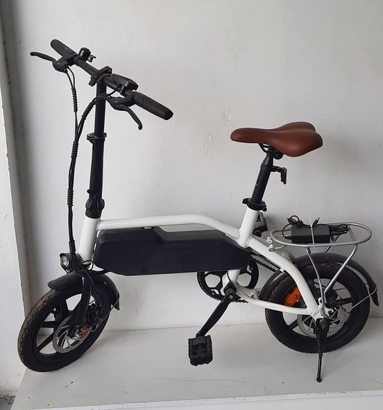 Fortis online electric bike
