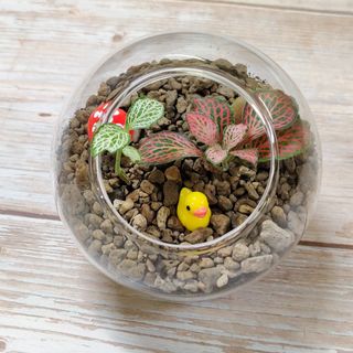 (Category: ) located in . Submitted by naturlink (Listing ID 1163733450, Image 1). Description: .