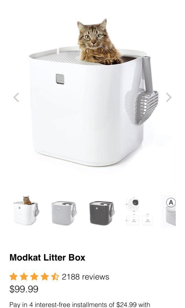 Modkat litter bix, Pet Supplies, Homes & Other Pet Accessories on Carousell