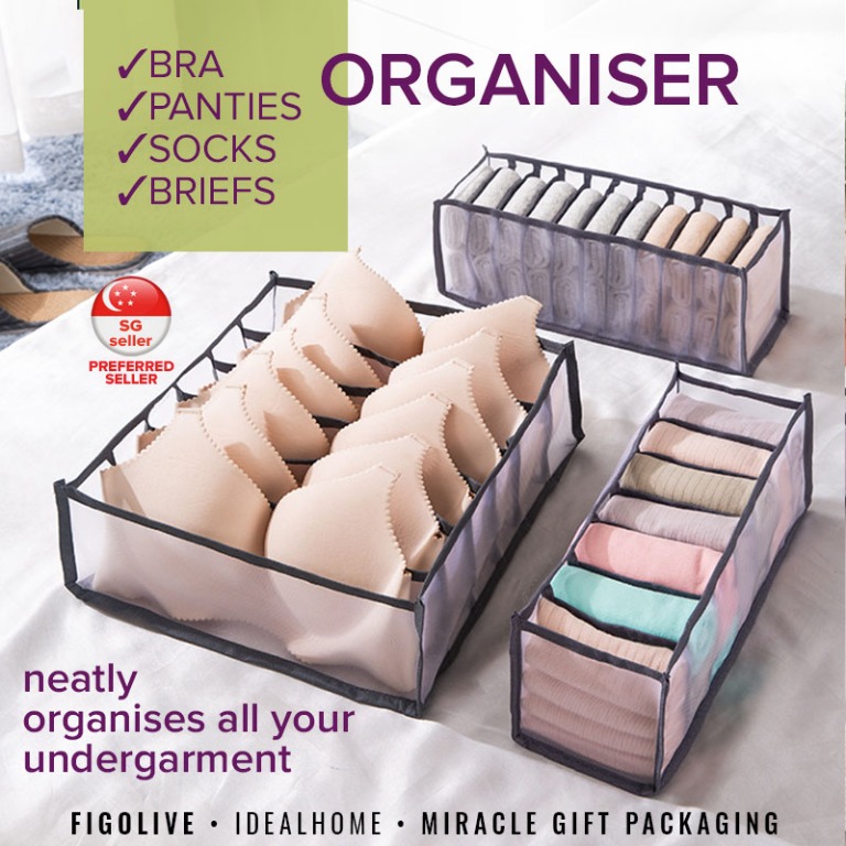 SG Ready Stocks Bra Organizer for wardrobe storage Panty organizer