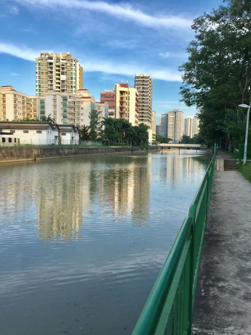 the Callista, Property, Rentals, Room Rentals on Carousell