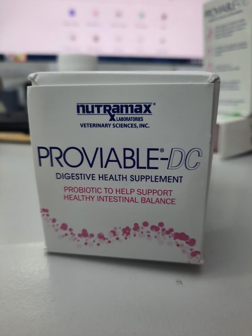 長期現貨proviable DC 狗用益生菌60粒丸裝nutramax chewable tablets