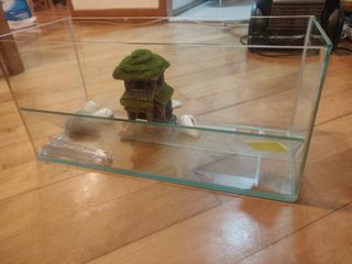 （分類：）位於 。 由 firesalehk 提交（商品編號 1158798250，圖片 1）。簡介： 。