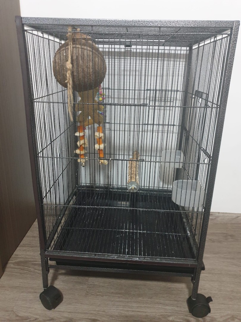 bird cage purchase