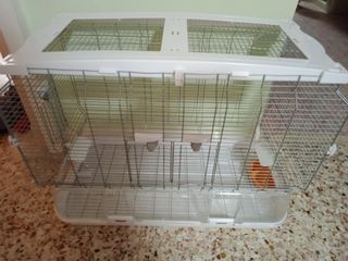 (Category: ) located in . Submitted by dltan (Listing ID 1158772046, Image 1). Description: .