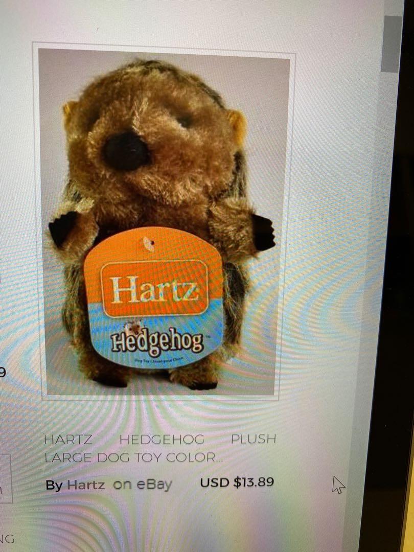 Hartz hedgehog top dog toy