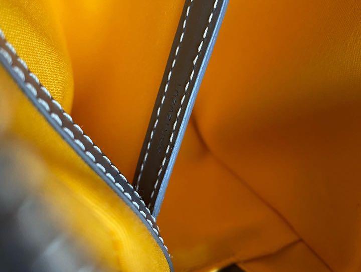 Goyard Cap Vert Camera Bag, Luxury, Bags & Wallets on Carousell