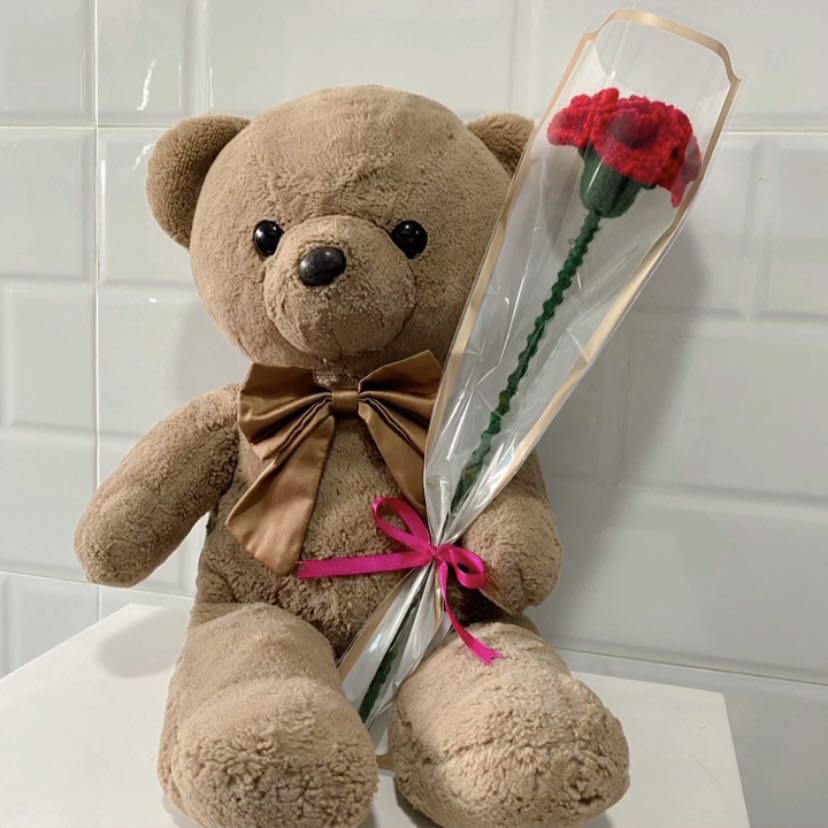 Crotchet Carnations Flower Stalk / Bouquet, Hobbies & Toys, Stationery