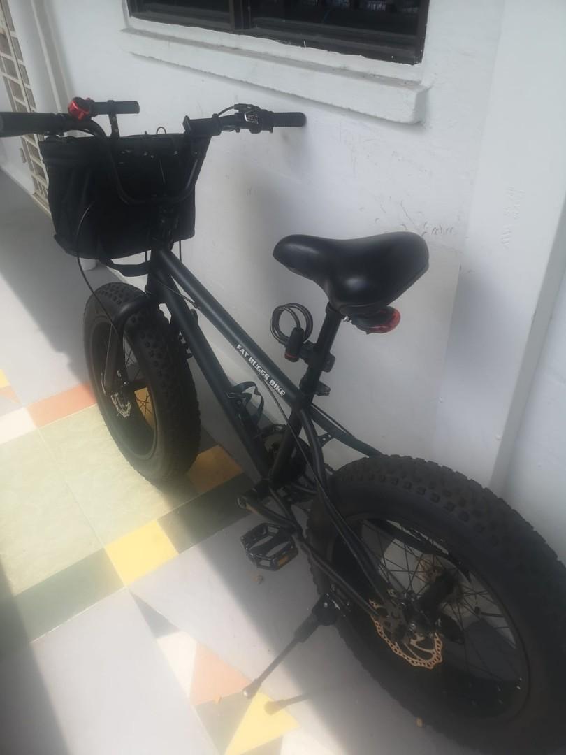 Fat buggs 20in Sports Equipment Bicycles Parts Bicycles on Carousell