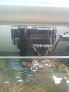 (Category: ) located in . Submitted by sany320 (Listing ID 1158741859, Image 1). Description: .