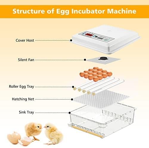 UWR-Nite 112 Egg Incubator, Auto Turner, Temp & Humidity Control, For Various Birds