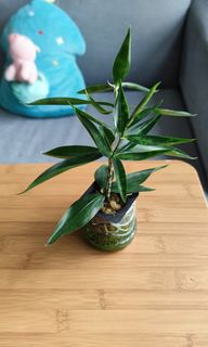 (Category: ) located in . Submitted by johnsongkh (Listing ID 1158775699, Image 1). Description: .
