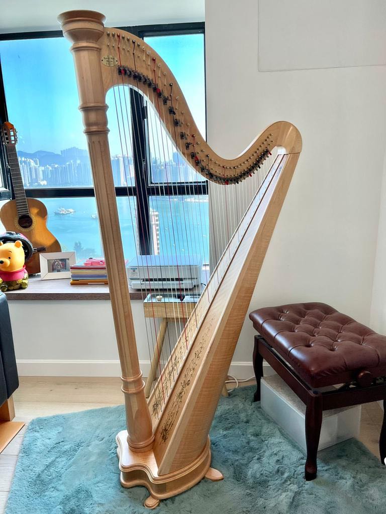 Lyon healy outlet prelude 40
