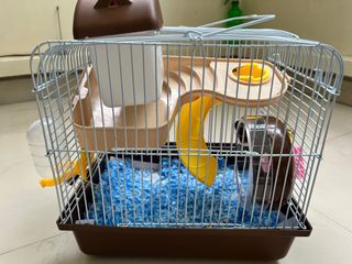 (Category: ) located in . Submitted by sarahbee (Listing ID 1158712813, Image 1). Description: .
