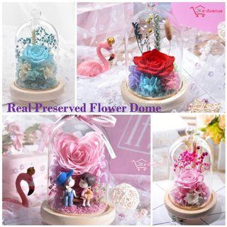 Preserved Rose Flower in Glass Dome Cover Display Jar with Free LED Strip Fairy Lights for Mother's Day Birthday Anniversary Wedding Gift