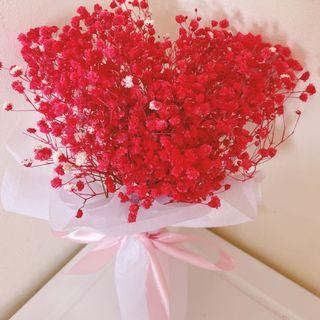 Red or Pink preserved baby breathe