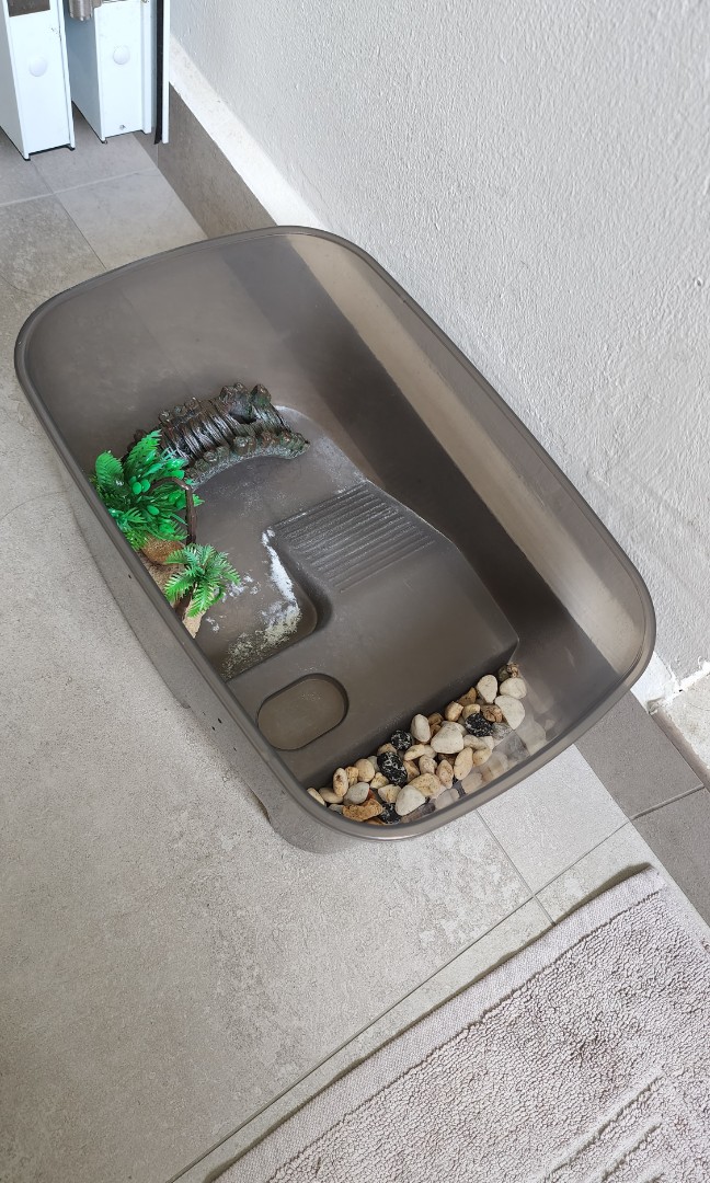 Turtle plastic tub for giving away, Pet Supplies, Homes & Other Pet
