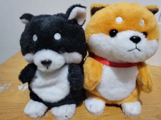 （分類：）位於 。 由 l9120 提交（商品編號 1158979374，圖片 1）。簡介： 。