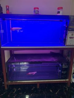 (Category: ) located in . Submitted by jepunnn (Listing ID 1158978661, Image 1). Description: .