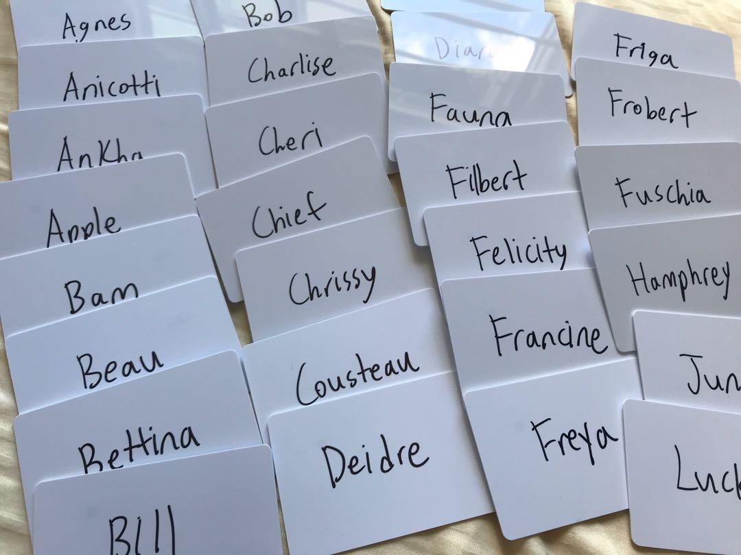 Amiibo Cards/Coins for any custom Animal Crossing: New Horizons