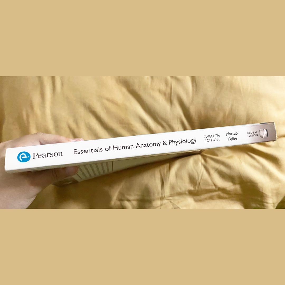 Essential of Human Anatomy and Physiology 12th Edition Global Edition ...