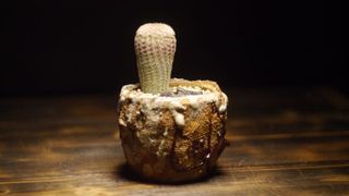 （分類：）位於 。 由 mosigan 提交（商品編號 1158879976，圖片 1）。簡介： 。