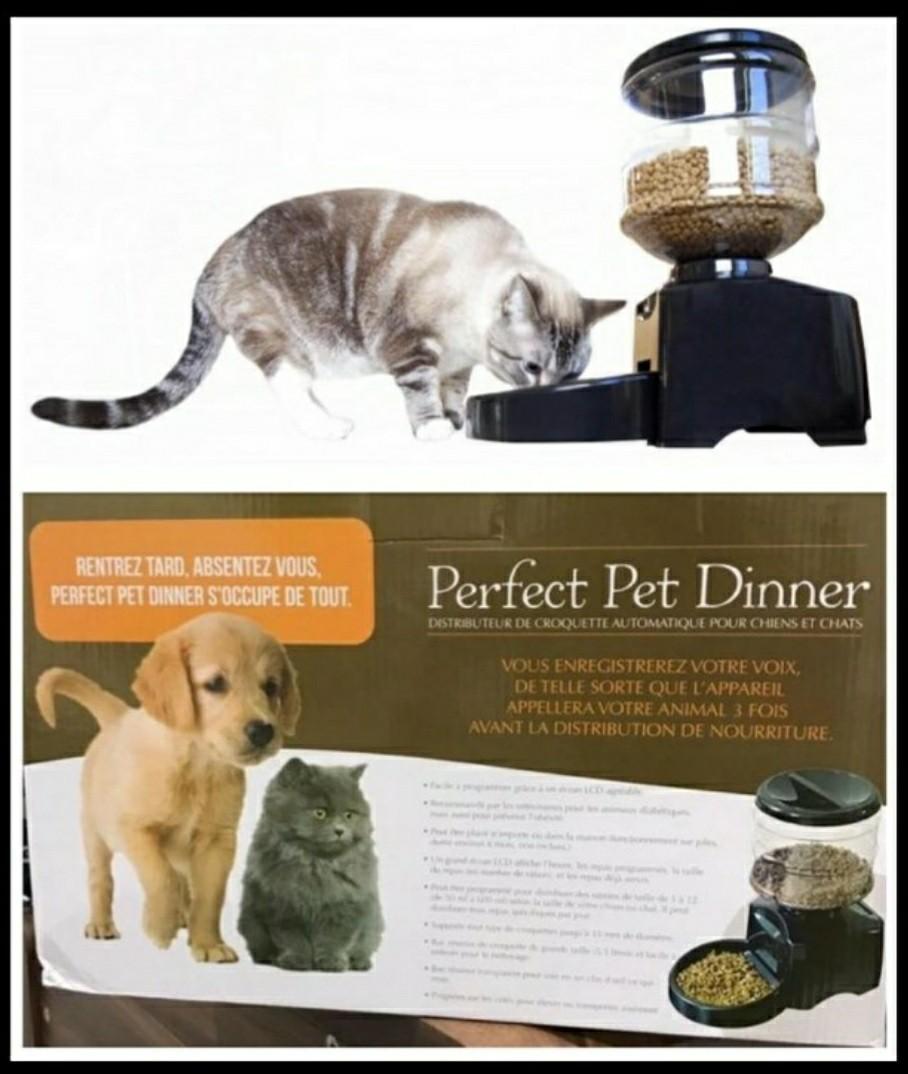 Perfect pet dinner automatic feeder clearance