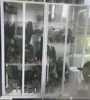 (Category: ) located in . Submitted by babayagga (Listing ID 1158939550, Image 1). Description: .