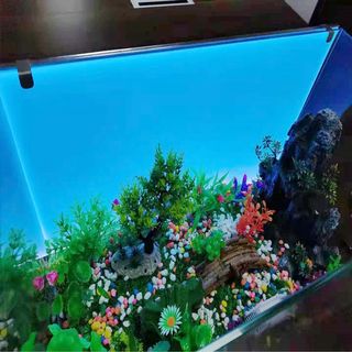 (Category: ) located in . Submitted by pricerightsg (Listing ID 1158882111, Image 1). Description: .