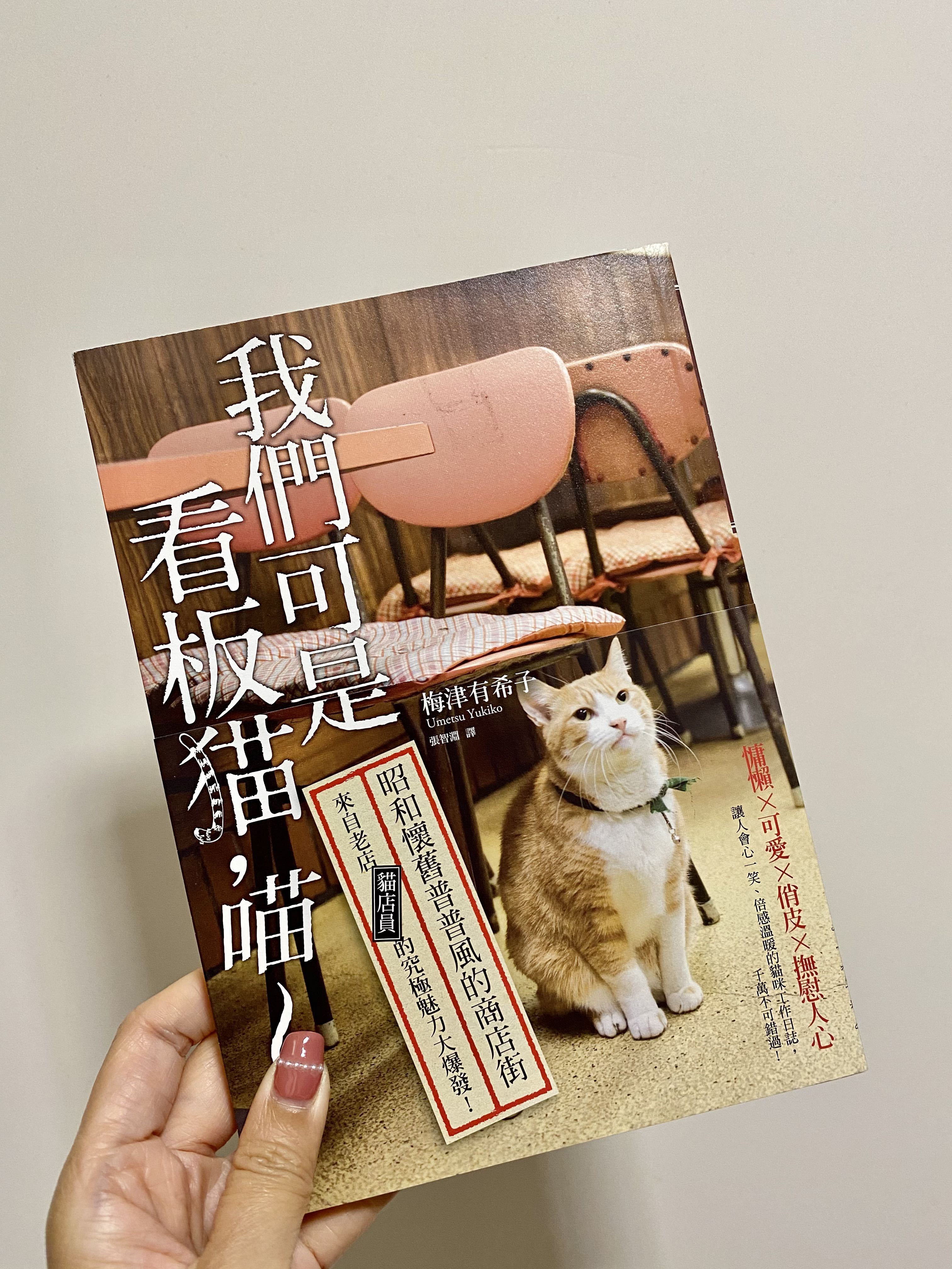 我們可是看板貓 喵 興趣及遊戲 書本 文具 小說 故事書 Carousell 我們可是看板貓 喵 興趣及遊戲 書本 文具 小說 故事書 Carousell