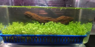 (Category: ) located in . Submitted by cl_tham (Listing ID 1159153568, Image 1). Description: .
