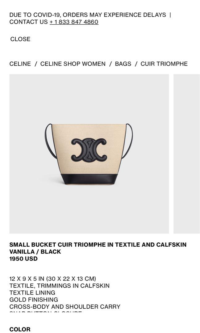 CELINE Canvas Calfskin Triomphe Small Bucket Bag Vanilla Black