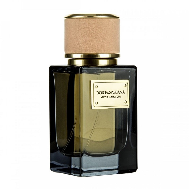 Dolce and gabbana velvet tender hotsell oud