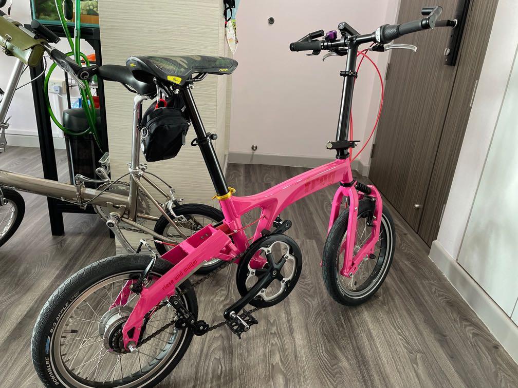 Birdy sale frog bike
