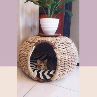 (Category: ) located in . Submitted by rhanne13 (Listing ID 1159043488, Image 1). Description: .