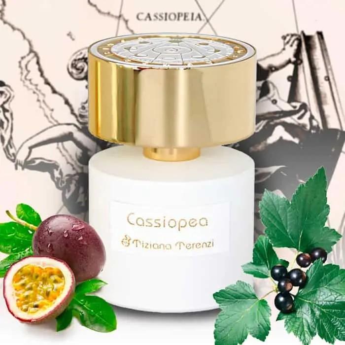 Cassiopea cheap tiziana terenzi