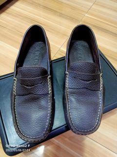 Tods Loafers