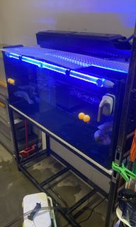 (Category: ) located in . Submitted by muhba (Listing ID 1159362159, Image 1). Description: .