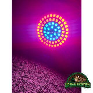 72 LED Full Spectrum Mini LED Grow Light for Plants Garden Artificial Sunlight