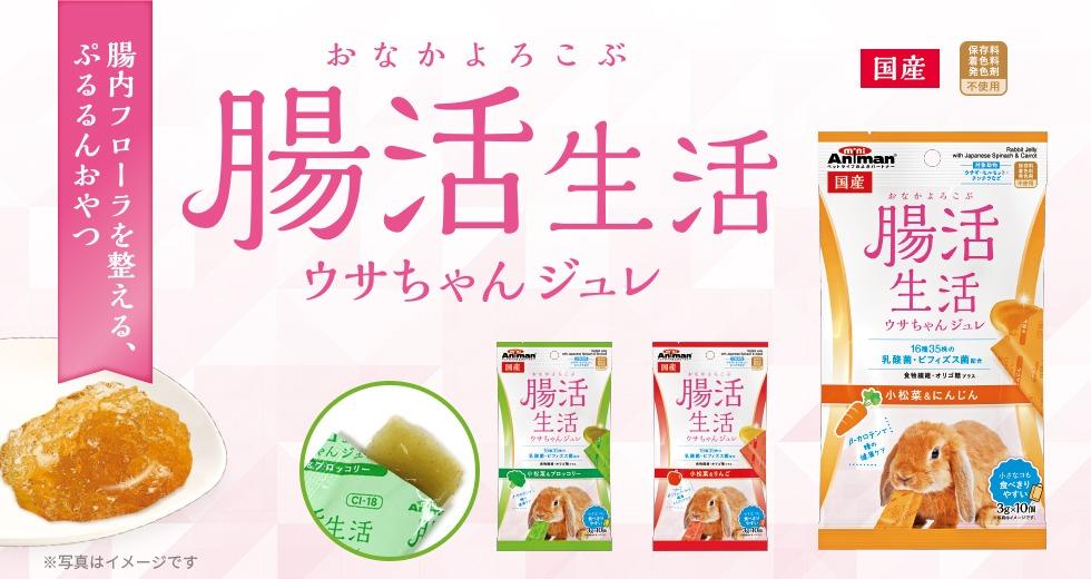 新しいスタイル 腸活生活 ウサちゃんジュレ champs21.com