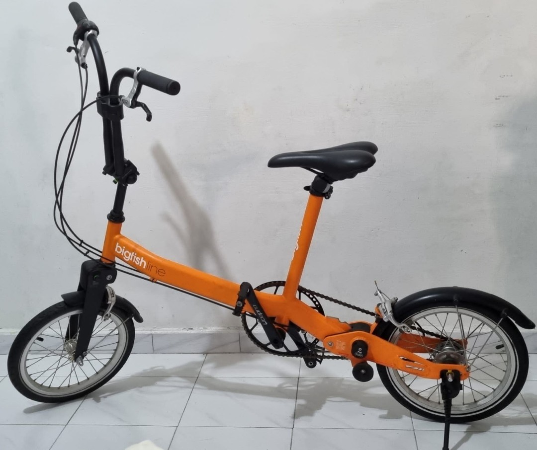 Bigfish folding bike store