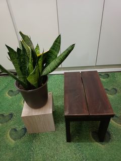 (Category: ) located in . Submitted by heart4170 (Listing ID 1159258483, Image 1). Description: .