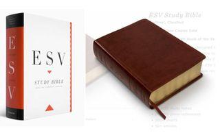 Crossway ESV Study Bible - TruTone Chestnut Genuine Leather Cover