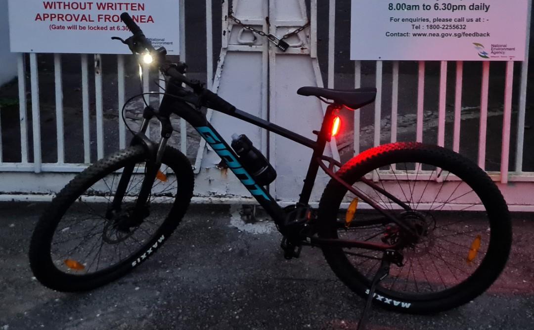 Giant talon 3 2021 colors online