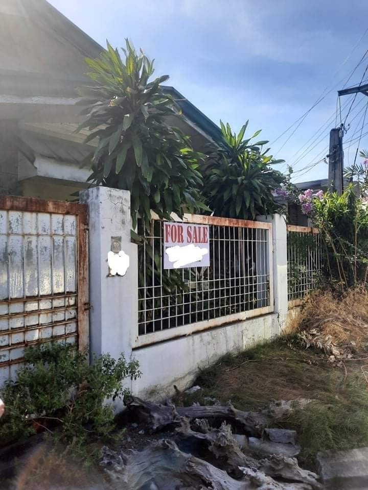 Merville Lot 310 sqm with Old House in Paranaque RUSH SALE, Property